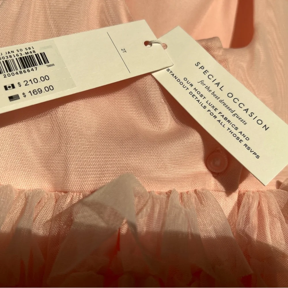 Janie and Jack Soft Pastel Tulle Dress - Picture 5 of 6